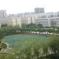 My view from my classroom building where i teach