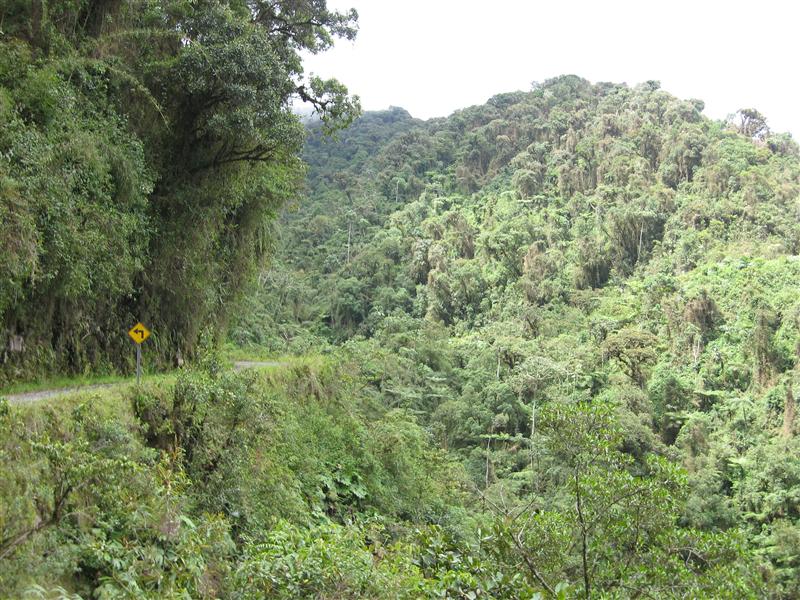 this is where one girl drove off the cliff