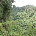 this is where one girl drove off the cliff