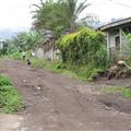 around my home...