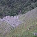 Above Wiñay Huayna